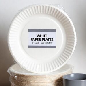 White 9 Inch Paper Plate (100 pcs)